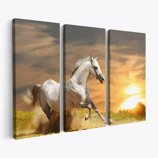 Triptych Canvas Prints - White horse