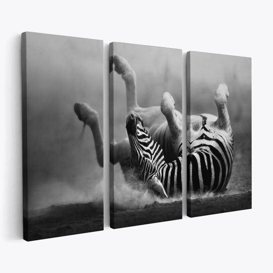 Triptych Canvas Prints - Zebra