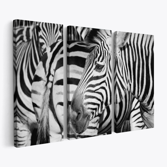 Triptych Canvas Prints - Zebras